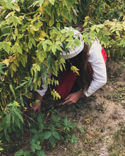 Load image into Gallery viewer, Wild Foraged Wreath Workshop
