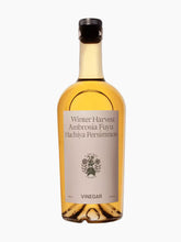 Load image into Gallery viewer, Winter Harvest Persimmon Vinegar
